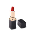 Black Empty Abs Square Lipstick Tube Plastic 3g Custom Makeup Packaging
